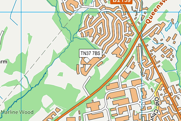 TN37 7BS map - OS VectorMap District (Ordnance Survey)