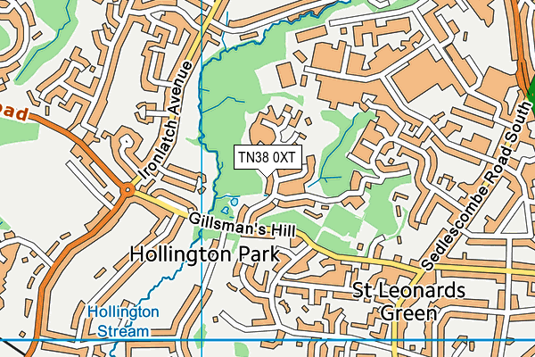 TN38 0XT map - OS VectorMap District (Ordnance Survey)