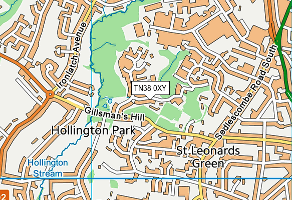 TN38 0XY map - OS VectorMap District (Ordnance Survey)