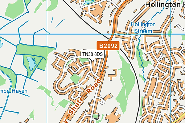TN38 8DS map - OS VectorMap District (Ordnance Survey)