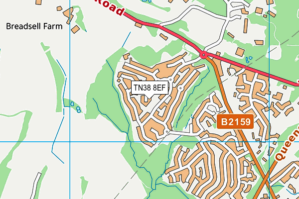 TN38 8EF map - OS VectorMap District (Ordnance Survey)
