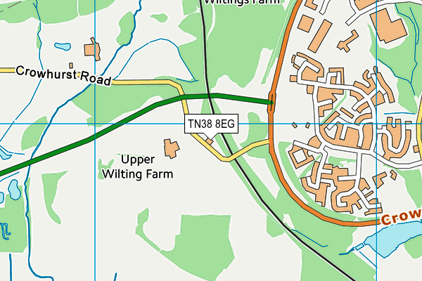 TN38 8EG map - OS VectorMap District (Ordnance Survey)