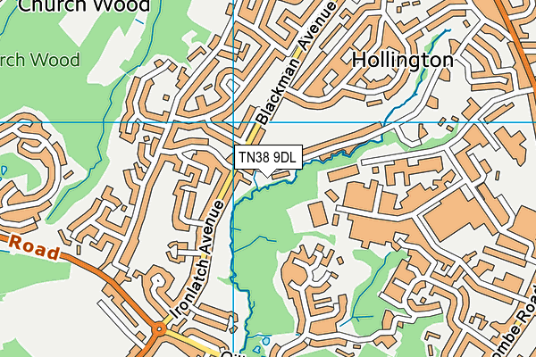 TN38 9DL map - OS VectorMap District (Ordnance Survey)
