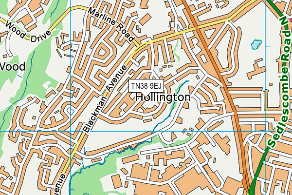 TN38 9EJ map - OS VectorMap District (Ordnance Survey)