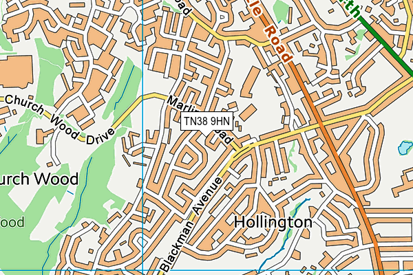 TN38 9HN map - OS VectorMap District (Ordnance Survey)