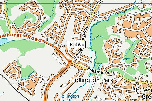 TN38 9JE map - OS VectorMap District (Ordnance Survey)