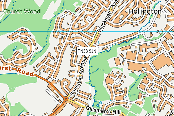TN38 9JN map - OS VectorMap District (Ordnance Survey)