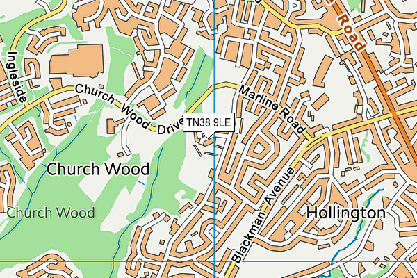 Gibbons Memorial Field map (TN38 9LE) - OS VectorMap District (Ordnance Survey)