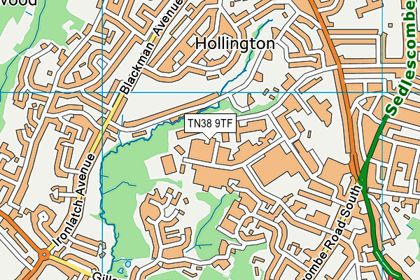 TN38 9TF map - OS VectorMap District (Ordnance Survey)