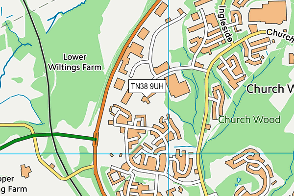 TN38 9UH map - OS VectorMap District (Ordnance Survey)