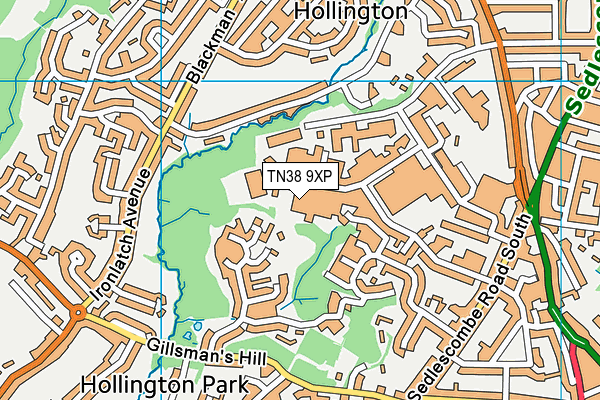 TN38 9XP map - OS VectorMap District (Ordnance Survey)