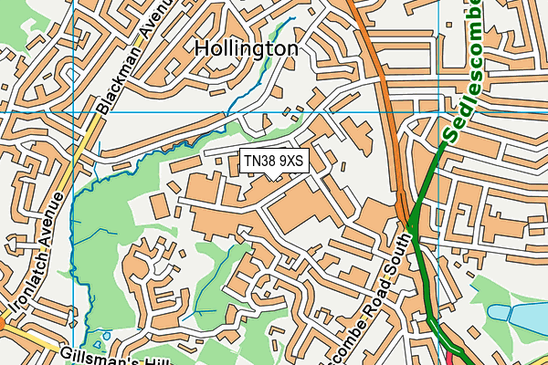 TN38 9XS map - OS VectorMap District (Ordnance Survey)