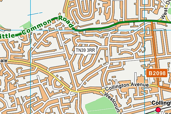 TN39 3RR map - OS VectorMap District (Ordnance Survey)