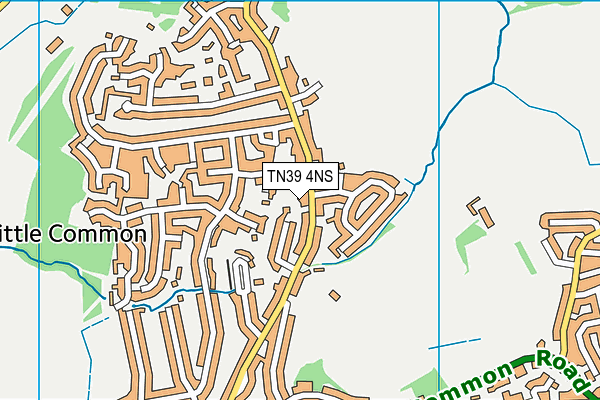 TN39 4NS map - OS VectorMap District (Ordnance Survey)