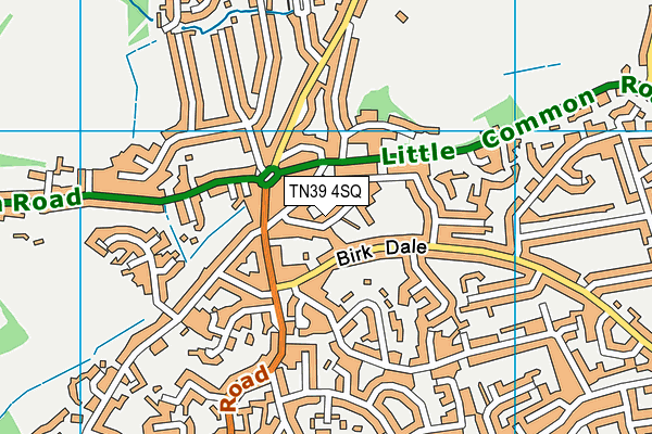 Little Common School map (TN39 4SQ) - OS VectorMap District (Ordnance Survey)