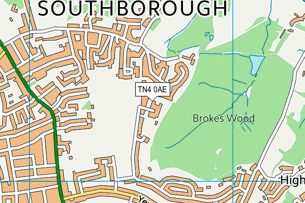 Yew Tree Playing Fields map (TN4 0AE) - OS VectorMap District (Ordnance Survey)