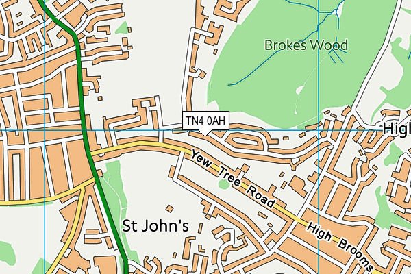 TN4 0AH map - OS VectorMap District (Ordnance Survey)