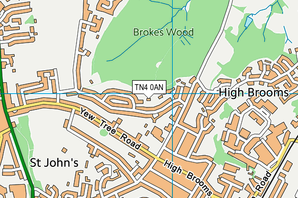 TN4 0AN map - OS VectorMap District (Ordnance Survey)