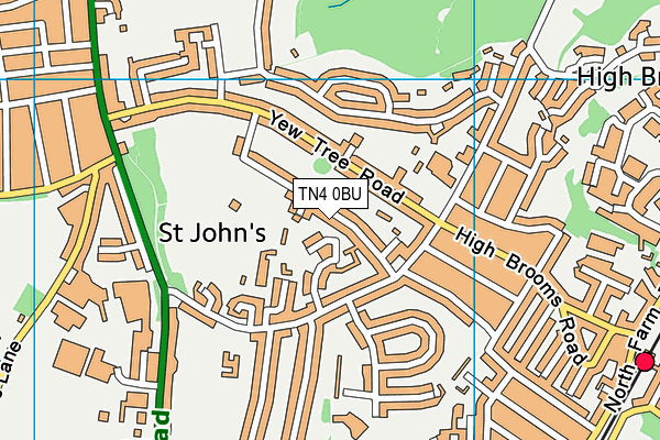 The Skinners School (Southfields Park) map (TN4 0BU) - OS VectorMap District (Ordnance Survey)