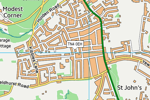 TN4 0EH map - OS VectorMap District (Ordnance Survey)