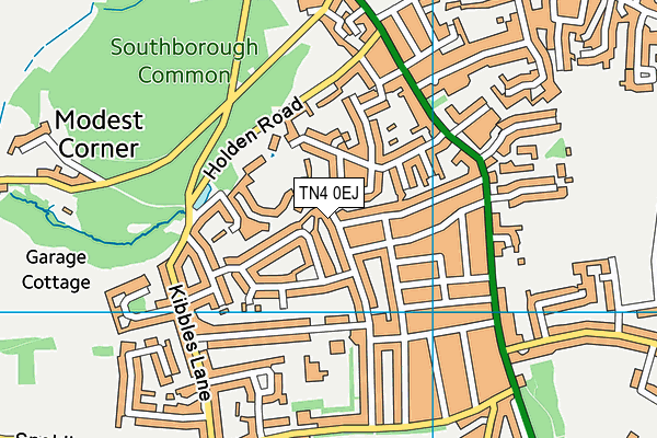 TN4 0EJ map - OS VectorMap District (Ordnance Survey)