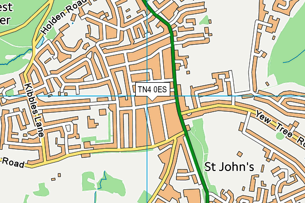 TN4 0ES map - OS VectorMap District (Ordnance Survey)