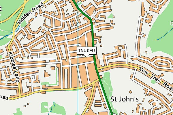 TN4 0EU map - OS VectorMap District (Ordnance Survey)