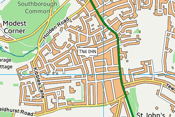 TN4 0HN map - OS VectorMap District (Ordnance Survey)