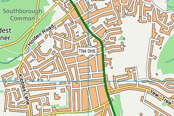 TN4 0HS map - OS VectorMap District (Ordnance Survey)
