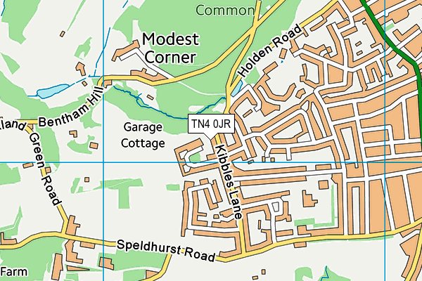 TN4 0JR map - OS VectorMap District (Ordnance Survey)