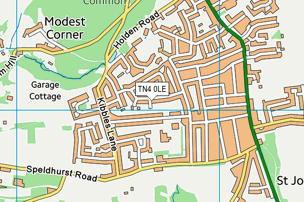 TN4 0LE map - OS VectorMap District (Ordnance Survey)