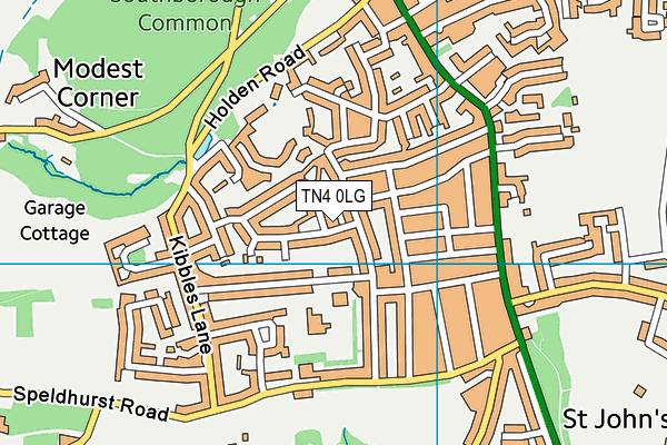 TN4 0LG map - OS VectorMap District (Ordnance Survey)