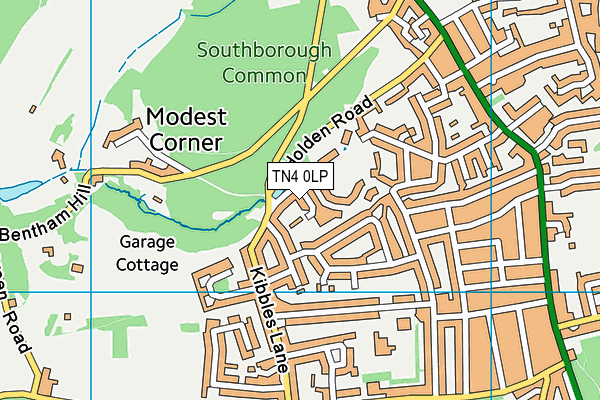 TN4 0LP map - OS VectorMap District (Ordnance Survey)