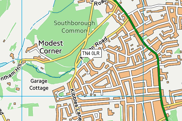 TN4 0LR map - OS VectorMap District (Ordnance Survey)