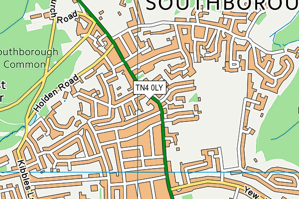 TN4 0LY map - OS VectorMap District (Ordnance Survey)