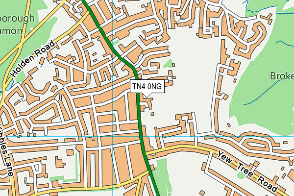 TN4 0NG map - OS VectorMap District (Ordnance Survey)