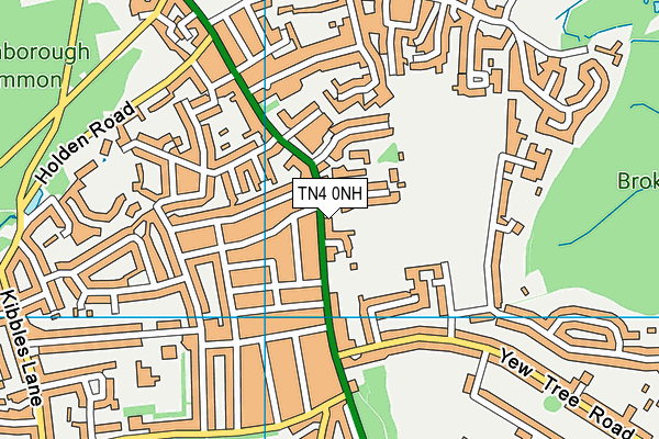 TN4 0NH map - OS VectorMap District (Ordnance Survey)