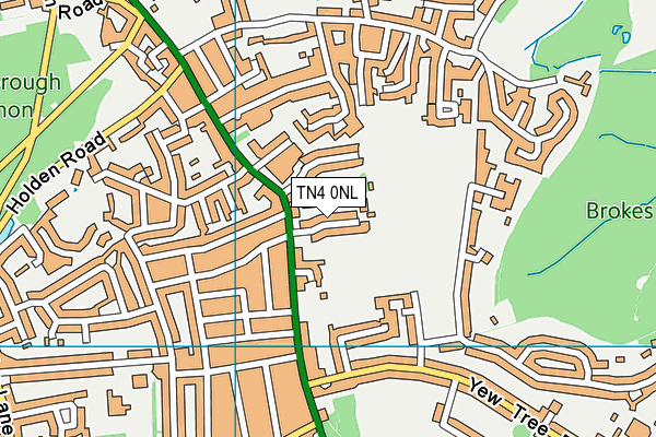 TN4 0NL map - OS VectorMap District (Ordnance Survey)