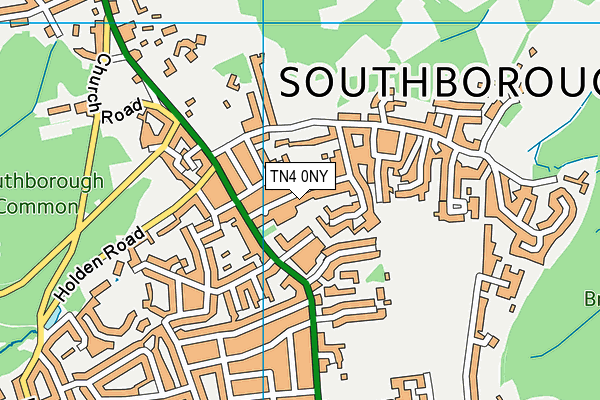 TN4 0NY map - OS VectorMap District (Ordnance Survey)