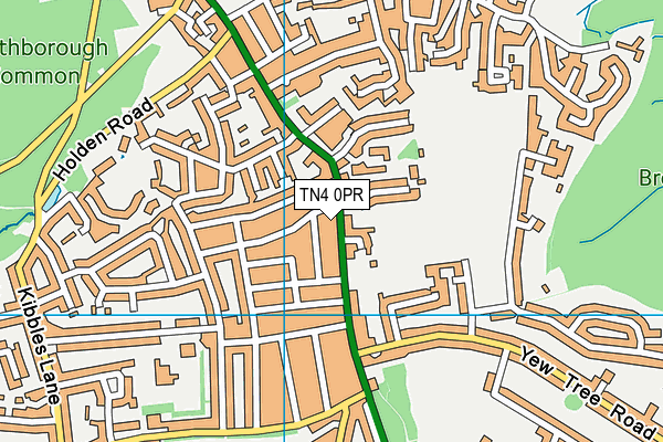 TN4 0PR map - OS VectorMap District (Ordnance Survey)