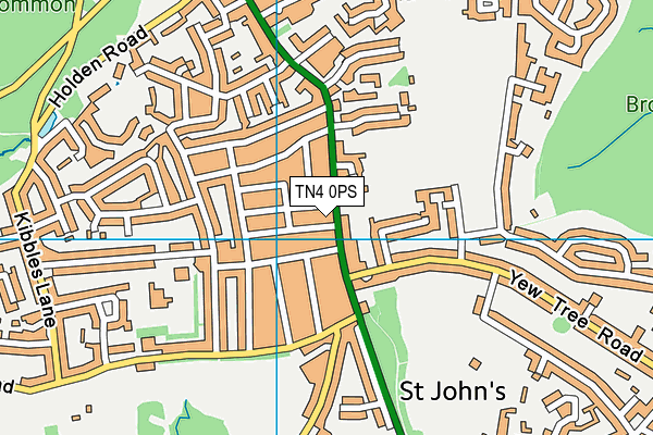 TN4 0PS map - OS VectorMap District (Ordnance Survey)