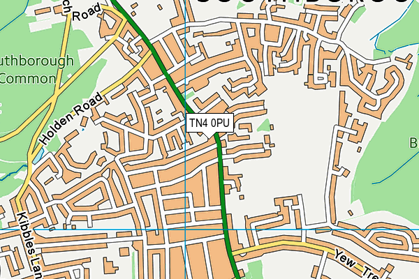 TN4 0PU map - OS VectorMap District (Ordnance Survey)