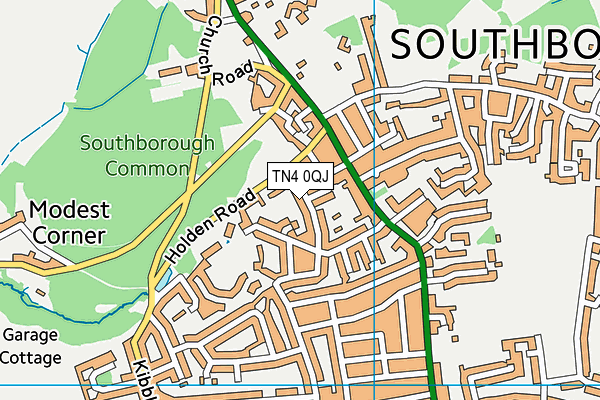 TN4 0QJ map - OS VectorMap District (Ordnance Survey)