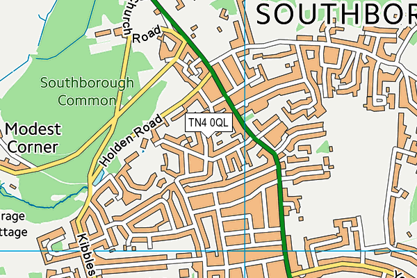 TN4 0QL map - OS VectorMap District (Ordnance Survey)