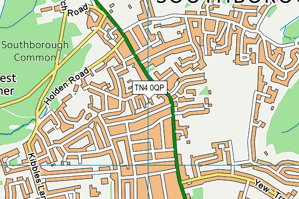 TN4 0QP map - OS VectorMap District (Ordnance Survey)