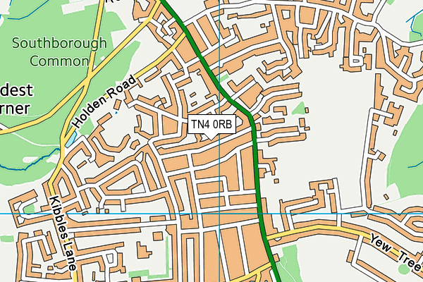 TN4 0RB map - OS VectorMap District (Ordnance Survey)