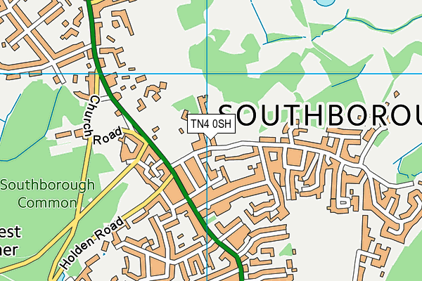 TN4 0SH map - OS VectorMap District (Ordnance Survey)