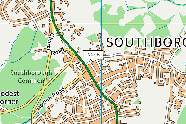 Pennington Grounds map (TN4 0SJ) - OS VectorMap District (Ordnance Survey)