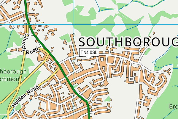 TN4 0SL map - OS VectorMap District (Ordnance Survey)