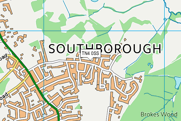 TN4 0SS map - OS VectorMap District (Ordnance Survey)